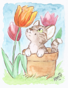 kitteninflowerpot